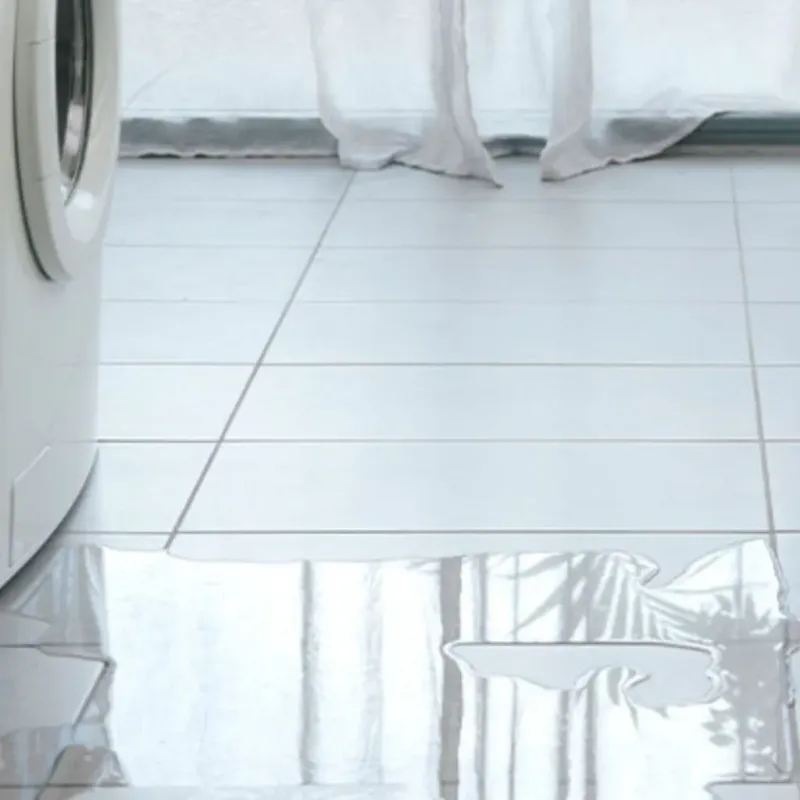 Appliance Leak Cleanup in Gibraltar, MI