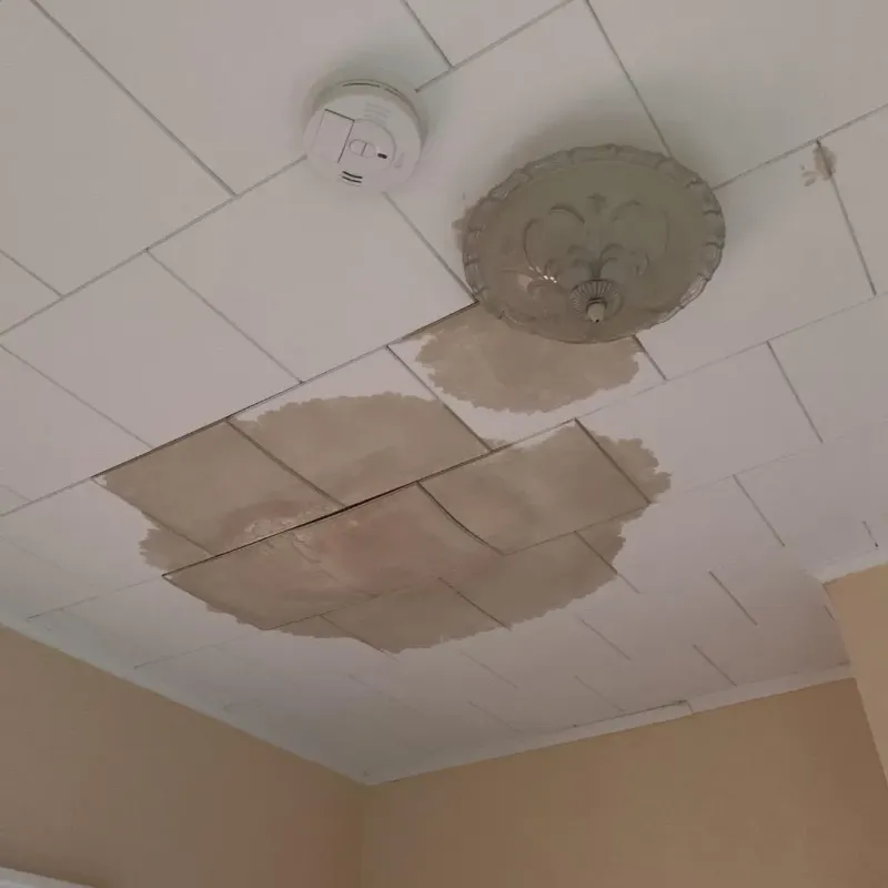 Ceiling Water Damage Repair in Gibraltar, MI