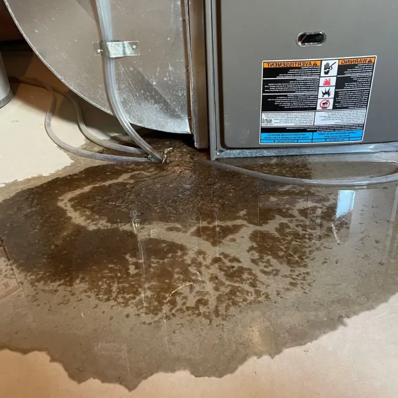 Pipe Burst and Leak Restoration in Gibraltar, MI