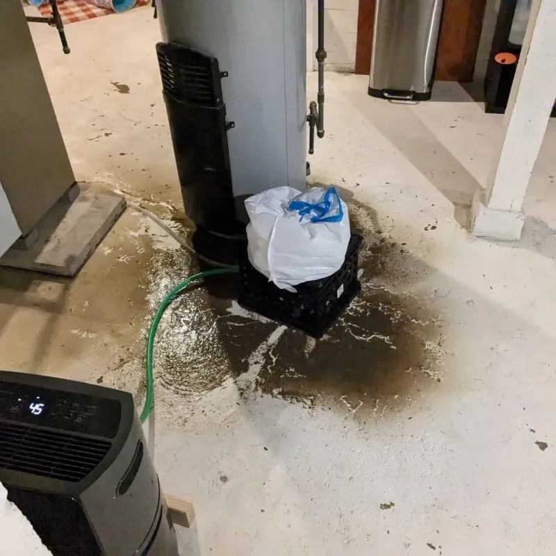 Sewage Backup Cleanup Service in Gibraltar, MI